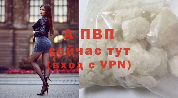 крисы Дмитров