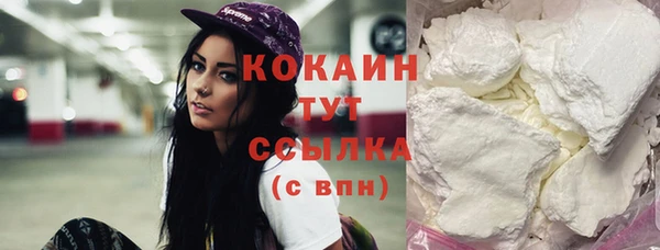 сатива Надым