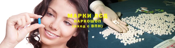 крисы Дмитров