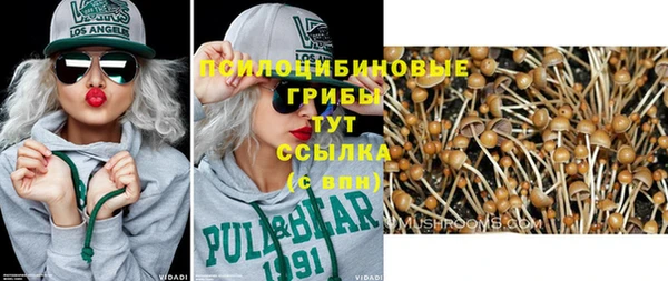 крисы Дмитров
