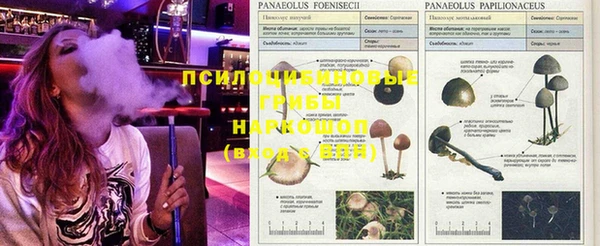 сатива Навашино