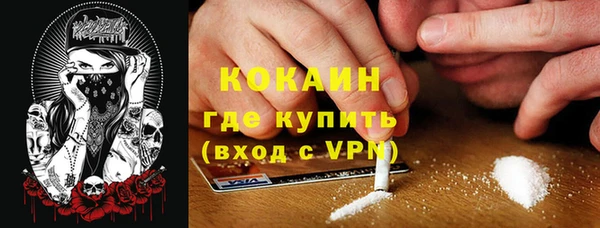 крисы Дмитров