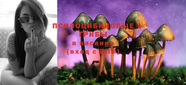 сатива Навашино